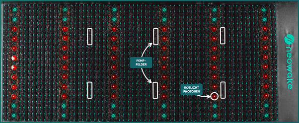 FM - Erklärung Technik